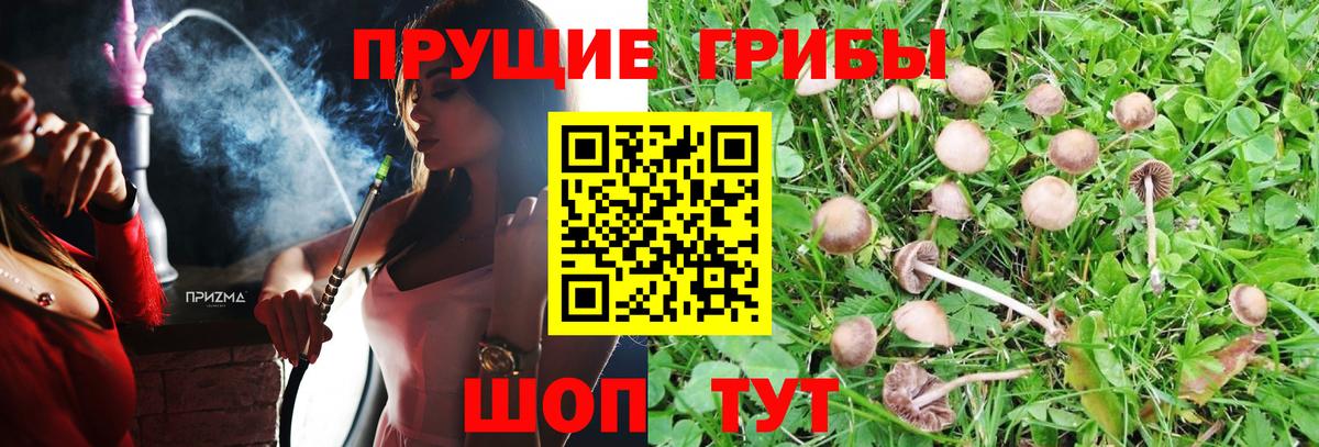 Добрянка  купить наркотики цена  Вход с VPN  Псилоцибиновые грибы мухоморы  Галлюциногенные грибы мухоморы 